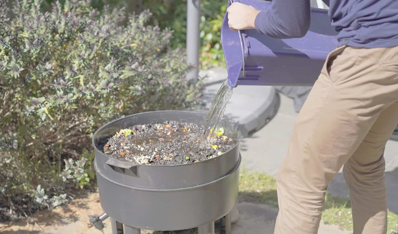 如何制作虫茶:纯天然植物促进汁#虫茶#堆肥#可持续丛林