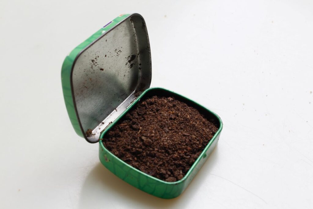 住在一间小公寓并不意味着你不能尽自己的职责。了解如何在公寓堆肥与我们的公寓堆肥指南。。。卡米拉·雅克在Unsplash#公寓堆肥#可持续丛林上的照片