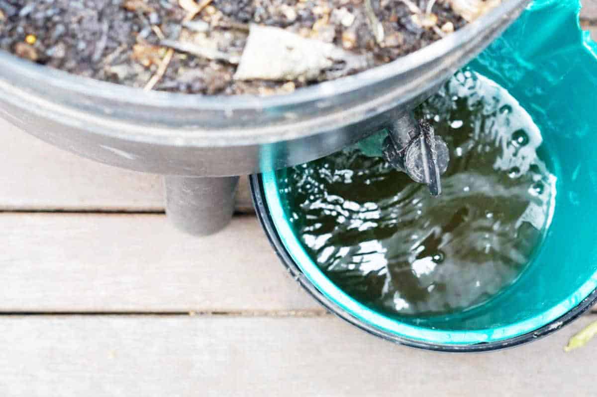 公寓园艺:把这看作是公寓园艺初学者的入门指南……# apartmentgardening # sustainablejungle