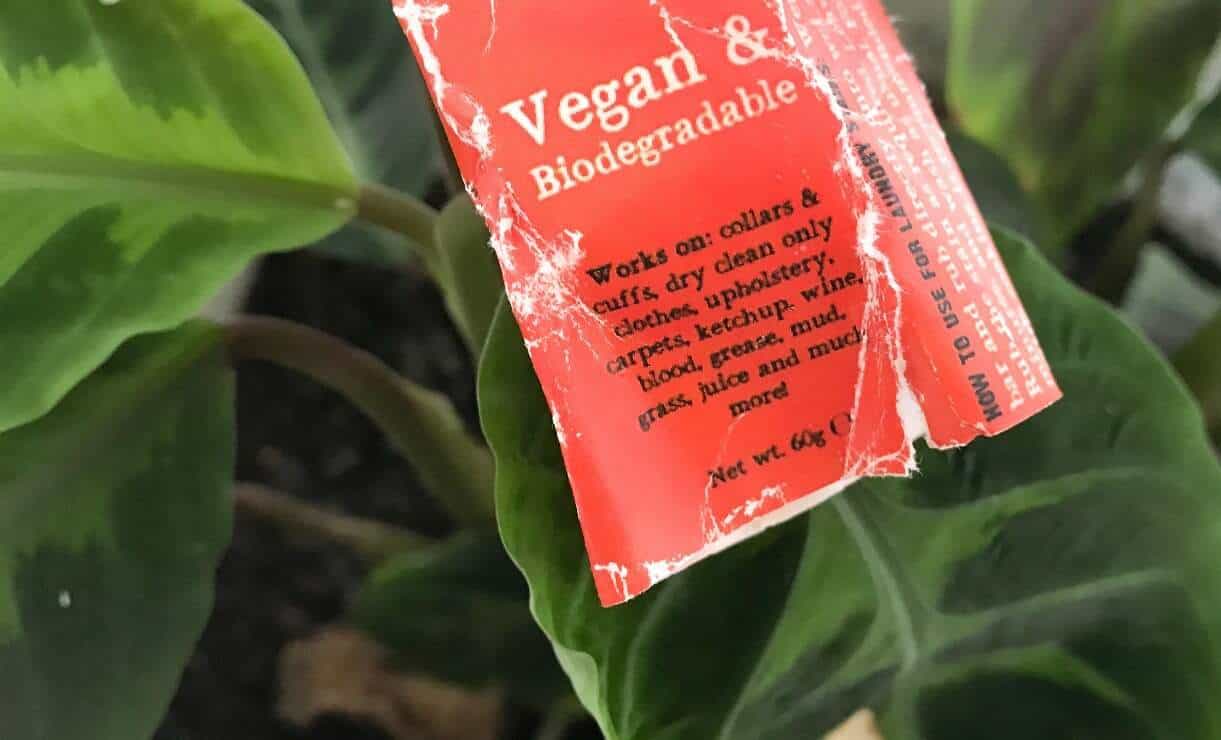 可生物降解vs.可堆肥:分解废物#可生物降解#可堆肥的差异
