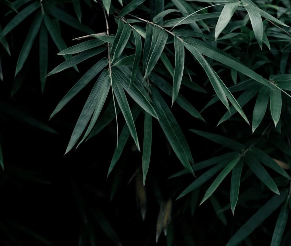 麻织品很时髦。你可能最近才听说大麻纤维，但大麻纤维已经永远存在了bob直播app官方下载