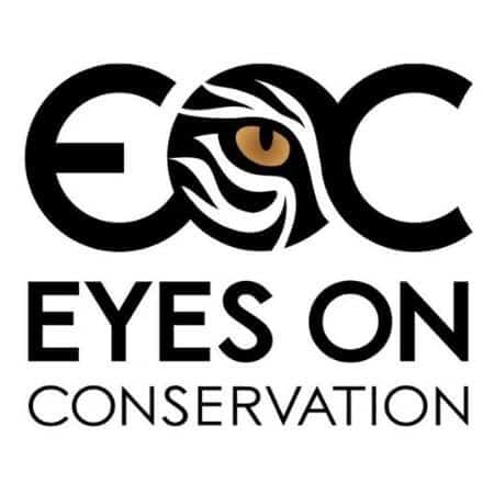 随着气候变化和生物多样性的丧失以惊人的速度发生，是时候关注保护问题了，还有什么比开始订阅一些鼓舞人心、具有教育意义和环境的播客更好的方式呢?图片来源:Eyes on Conservation Podcast #environmentalpodcasts #sustainablejungle