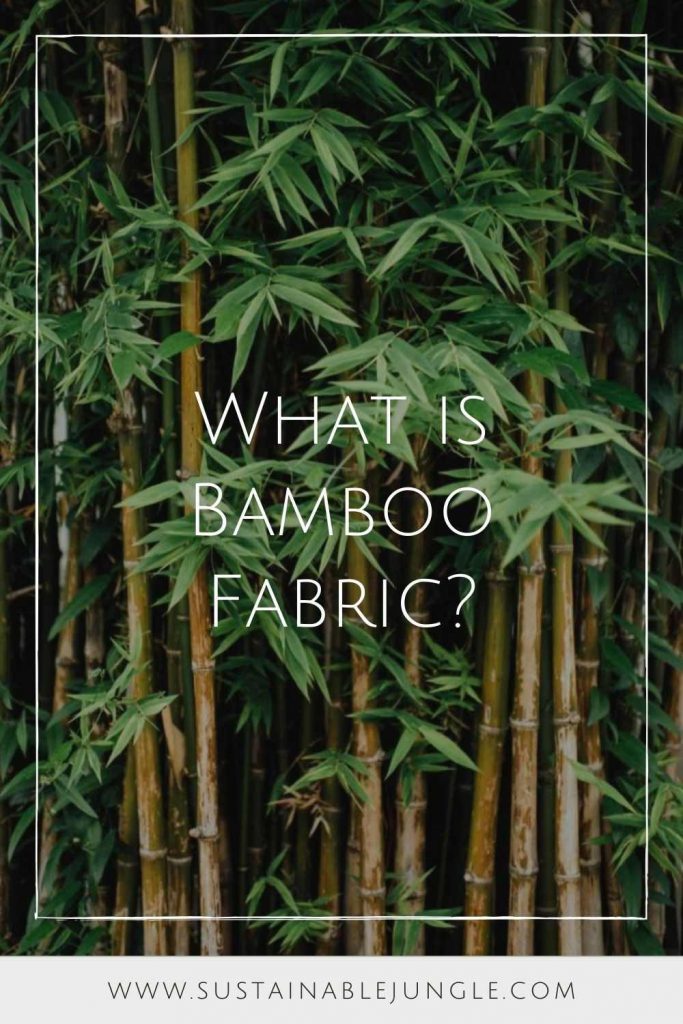 竹制织物:一种适合熊猫食用、对地球友好的材料，还是一种容易被滥用和绿色清洗的流行面料?# bamboofabric # sustainablejungle