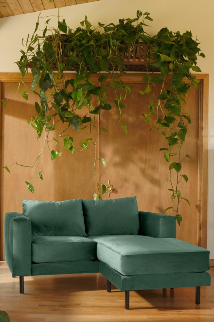 9生态友好型沙发和沙发舒适的可持续坐# ecofriendly沙发# ecofriendly沙发#可持续的沙发#可持续的沙发#可持续的丛林图片来自Sabai