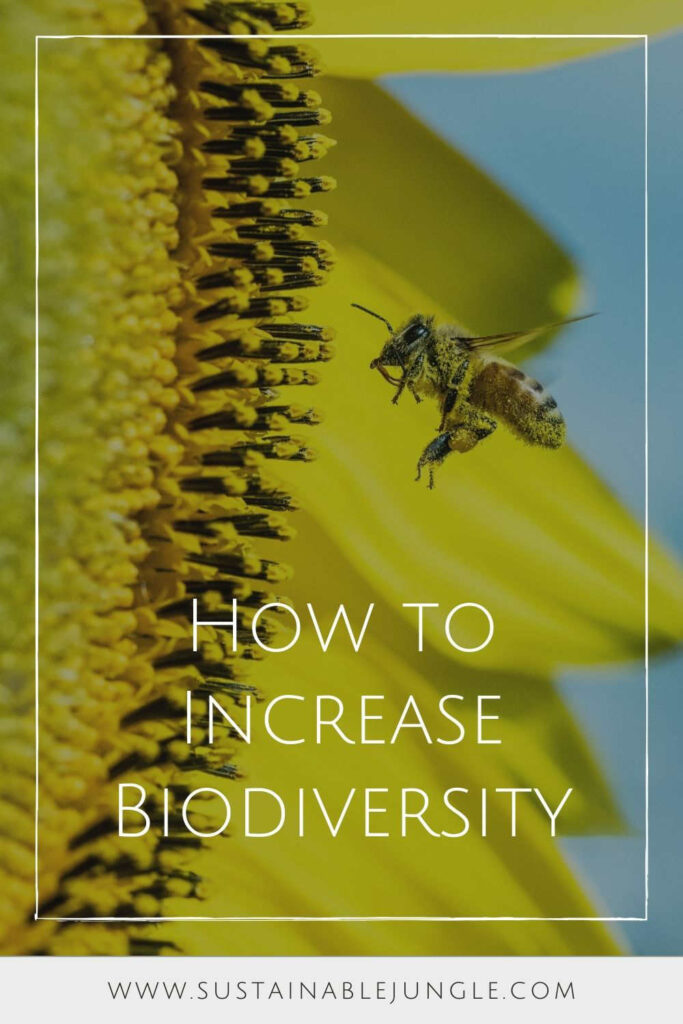 我们要么是繁荣的全球生态系统的一部分，要么就是在破坏它。现在是我们学习如何增加生物多样性的时候了，因为我们的生命依赖于它。大卫·克洛德在Unsplash上的一张一张图片#如何增加生物多样性#如何增加你家里的生物多样性#可持续丛林