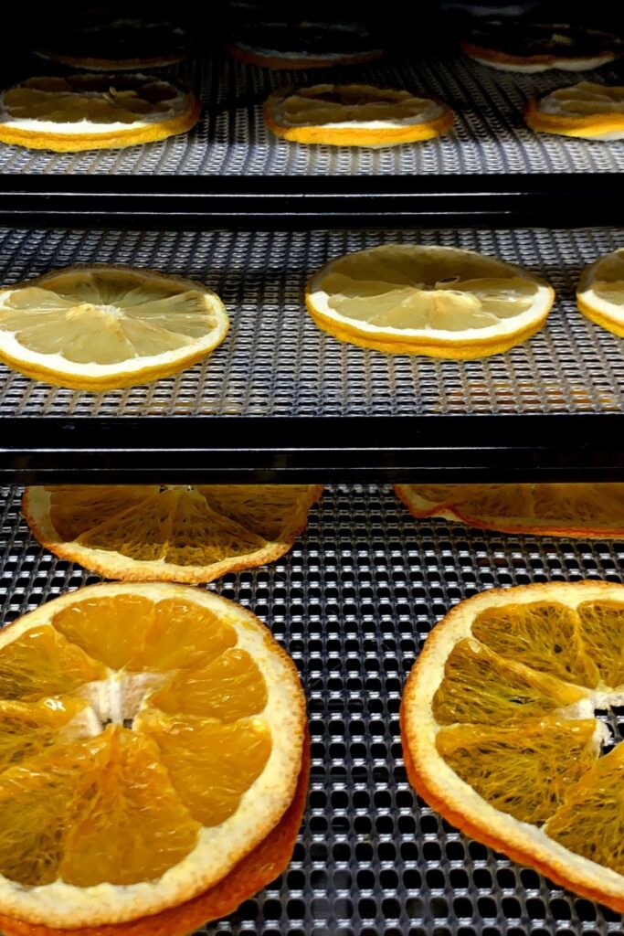 在家里学习如何保存食物是防止食物浪费的最简单方法之一……同时确保你手头有健康的全食。David Greenwood Haigh从皮克斯湾拍摄的图片#HowtoReserveFood#HowtoReserveFoodAthome#可持续丛林