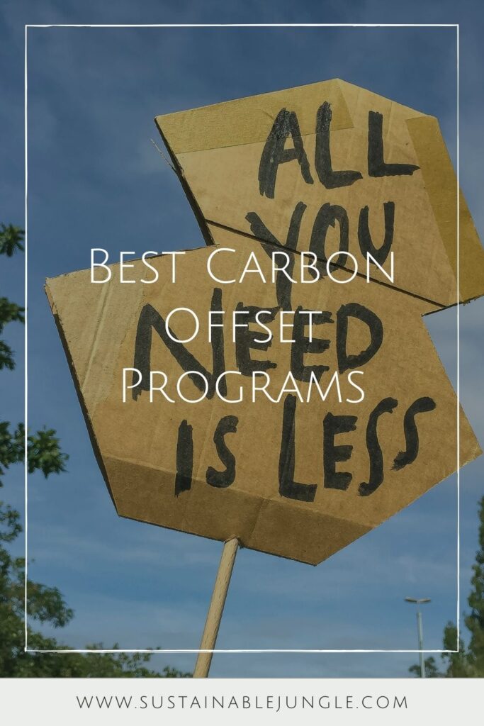 我们深入研究了碳抵消的世界，发现了最好的碳抵消供应商，可以合理地减少您的足迹。照片由Etienne Girardet在Unsplash #最佳碳抵消程序#最佳碳抵消提供商#可持续丛林