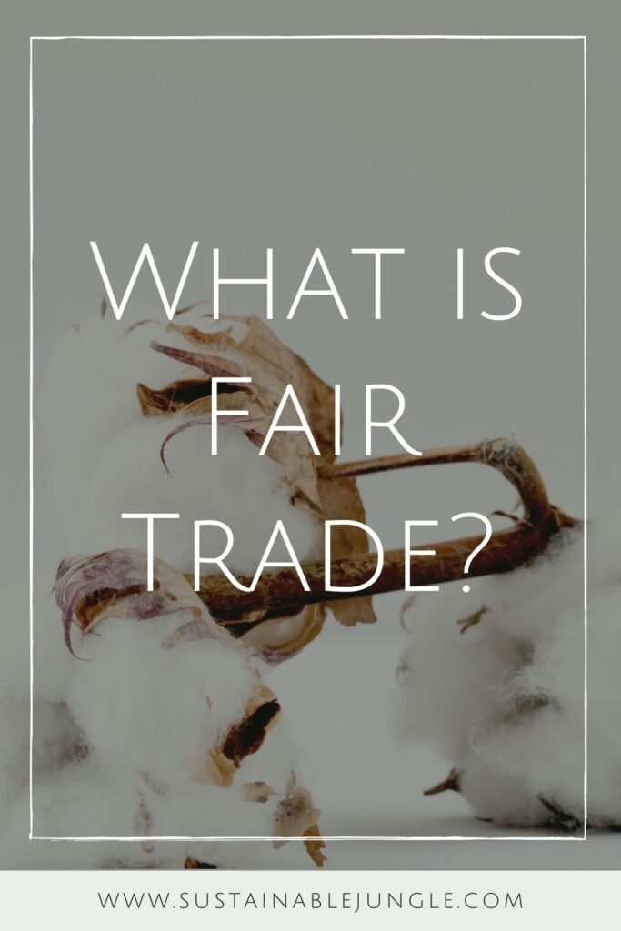 当谈到公平贸易时，有很多东西需要揭示——好的和不那么好的。所以…什么是公平贸易?图片来自玛丽安·克罗恩的Unsplash #公平贸易#可持续丛林