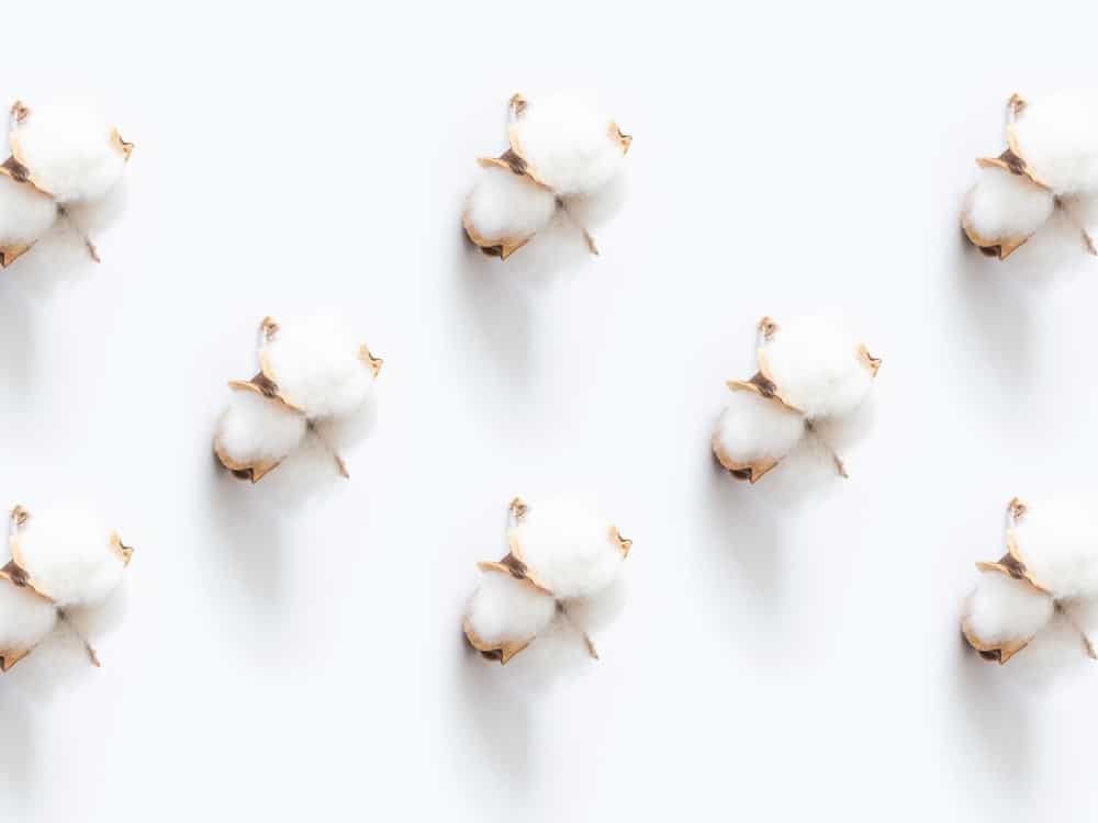 BCI棉是什么?它的可持续性如何?#什么样的棉花#标准的棉花#可持续的棉花#伦理的棉花#可持续的棉花#有机棉#可持续的丛林图片由Tijana Drndarsk通过Unsplash提供