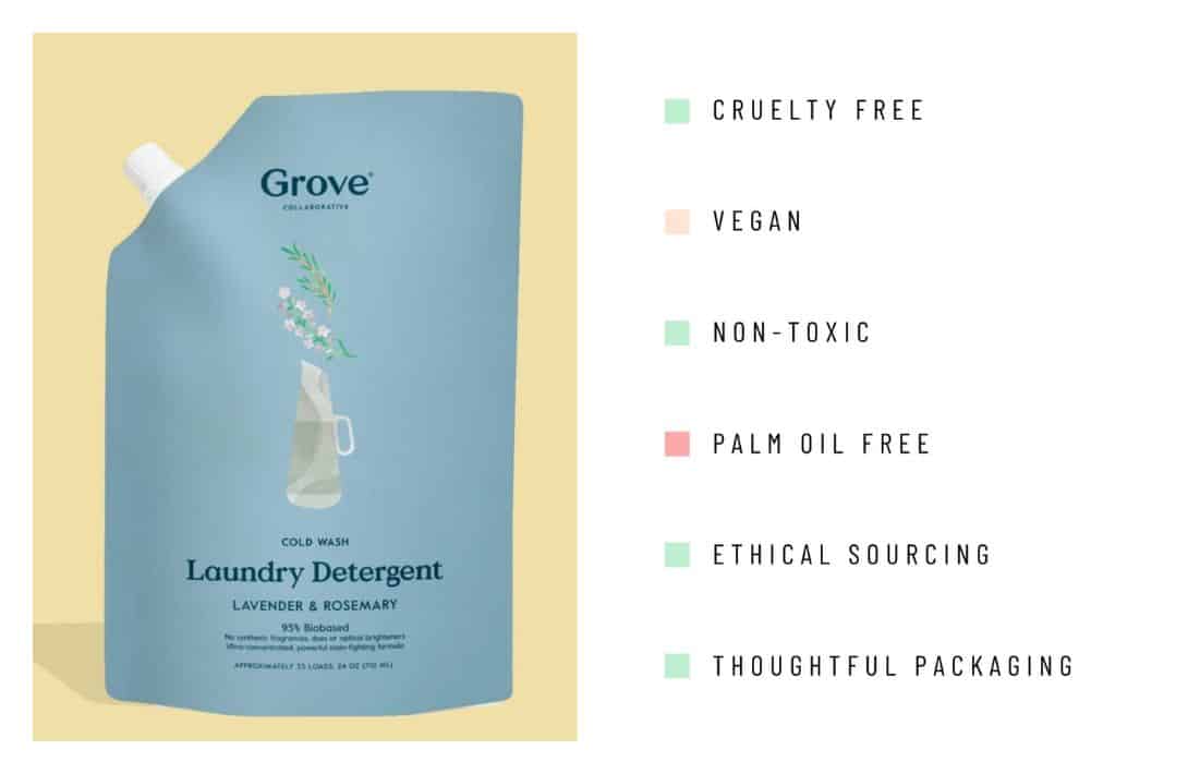 环保洗衣粉:12个品牌减轻地球负担#环保洗衣粉#可持续丛林图片由格罗夫合作