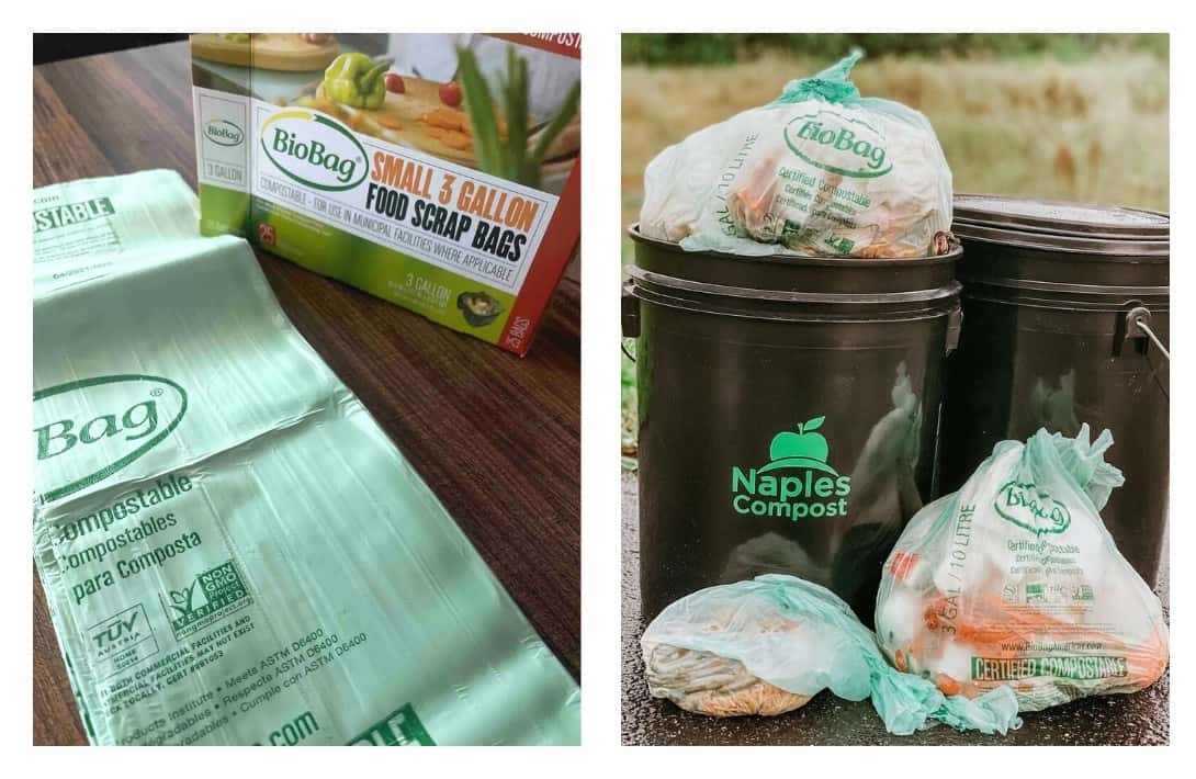 9个最佳可降解和可生物降解垃圾袋，绿色垃圾日#生物降解垃圾袋#生物降解垃圾袋#可堆肥垃圾袋#最佳生物降解垃圾袋#最佳可堆肥垃圾袋#可持续丛林图片由BioBag制作
