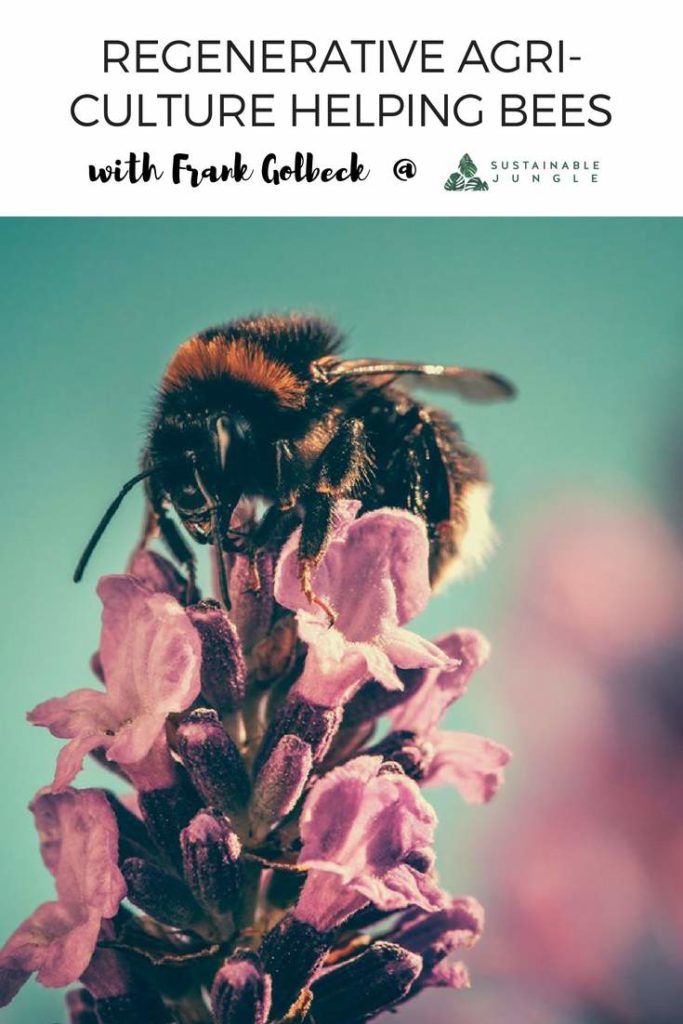 再生农业通过最美味的蜂蜜酒帮助加州的蜜蜂!# regenerativefarming # savethebees