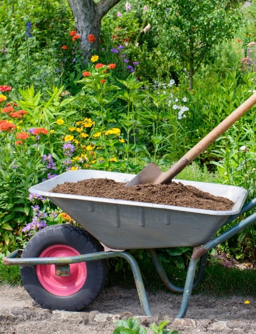 什么是可堆肥?103你可以在家里堆肥的东西图片来源:schulzie #什么是可堆肥的#可堆肥的东西#什么是可堆肥的清单#可堆肥的废物#可堆肥的材料#可堆肥的物品列表#可持续的丛林