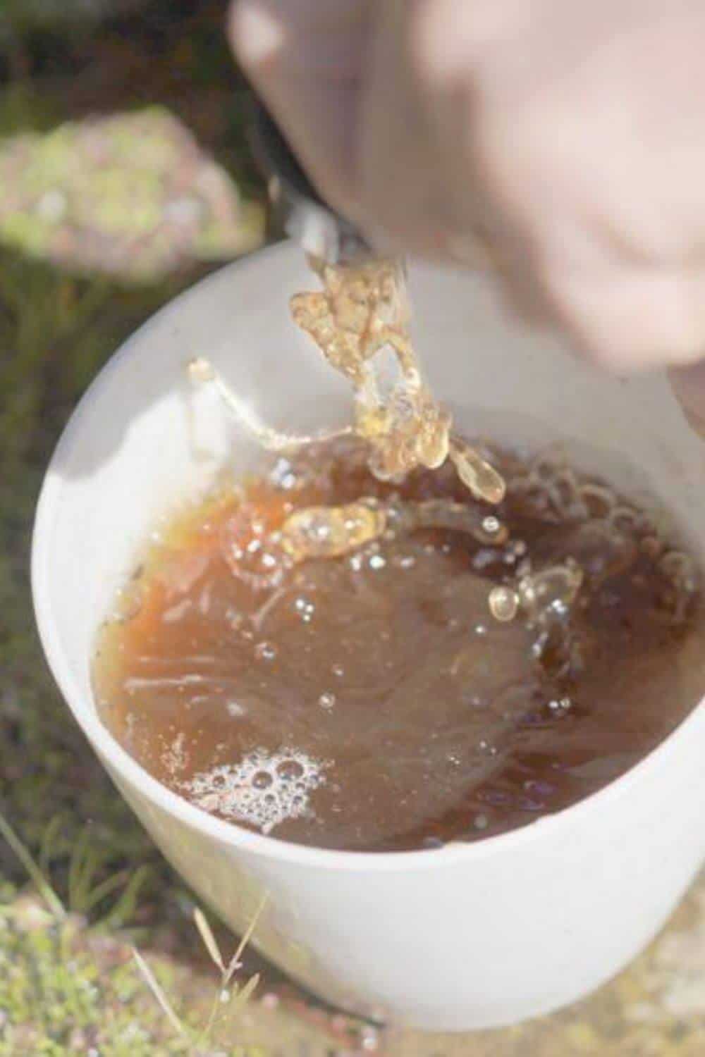 如何制作虫茶:纯天然植物促进汁#虫茶#堆肥#可持续丛林