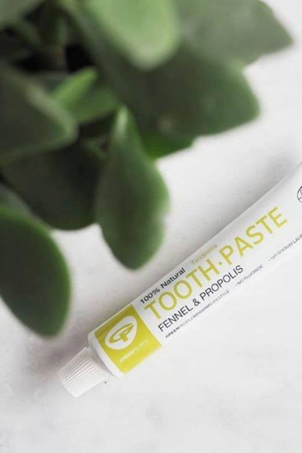 牙膏可能是最常使用的身体护理产品，这就是为什么它是我们仔细研究的第一批可持续的、无残酷的牙膏替代品之一……图片来源:绿色人有机#无残忍牙膏#素食牙膏#可持续丛林