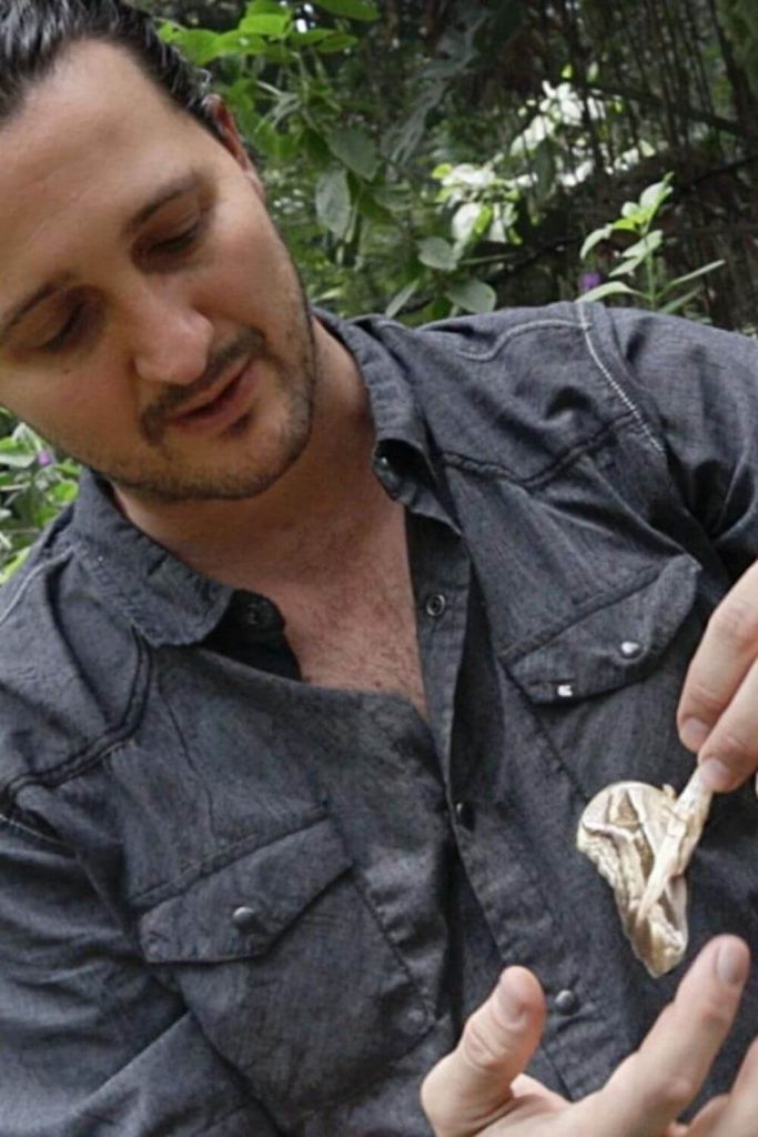 里卡多·穆里略在可持续丛林播客#sustainablejungle上讲述蝴蝶的重要性bob电竞官网