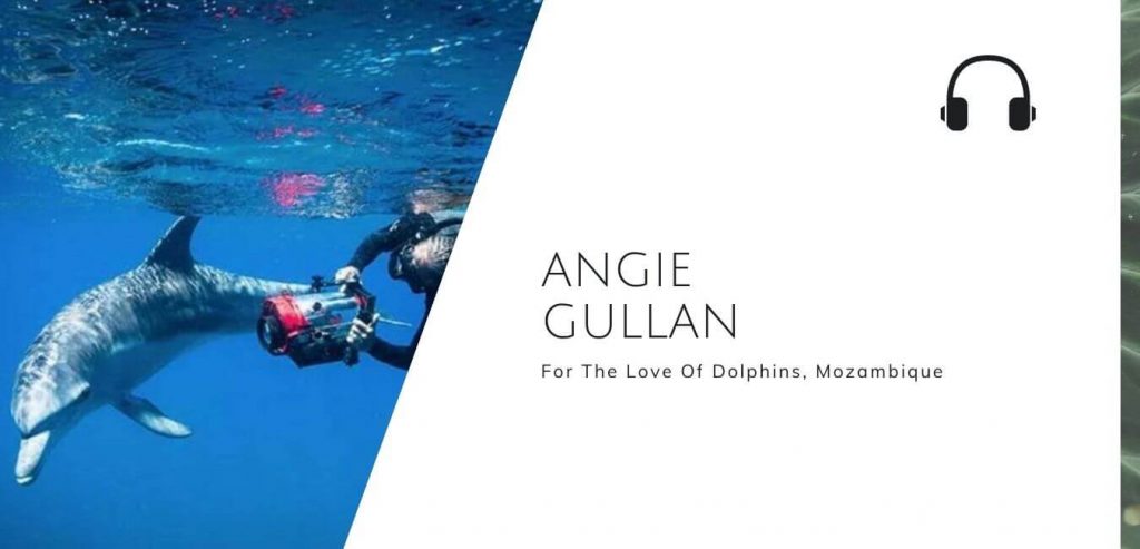 为了对海豚的热爱，请收听安吉·古兰的可持续丛林播客#sustainablejunglebob电竞官网
