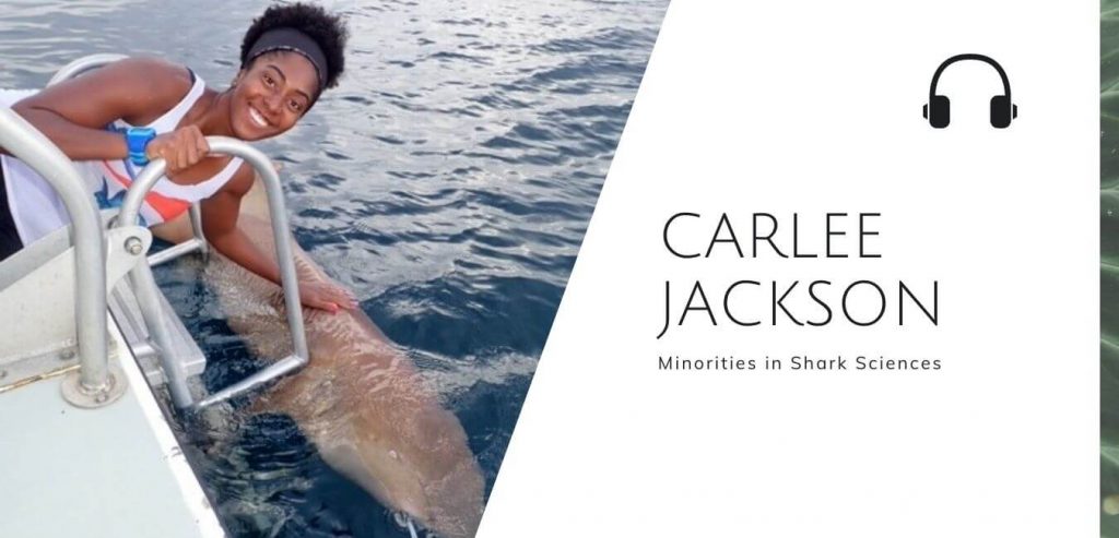 鲨鱼科学中的少数群体与卡莉·杰克逊在可持续丛林播客#黑色自然#鲨鱼科学中的少数群体#可持续丛林bob电竞官网