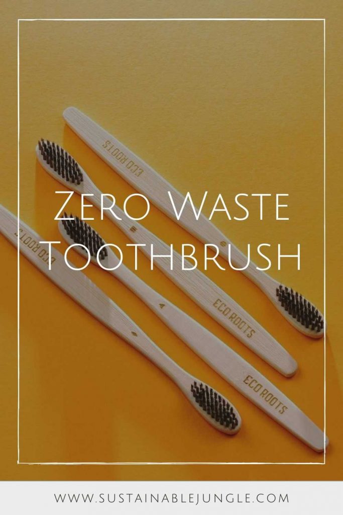 我们正在从塑料牙科护理中分一杯羹，投入到零浪费牙刷，或者更确切地说，正如你很快就会看到的那样。bob游戏安卓官方版下载图片来源:EcoRoots #零浪费牙刷#零浪费牙刷#可持续丛林