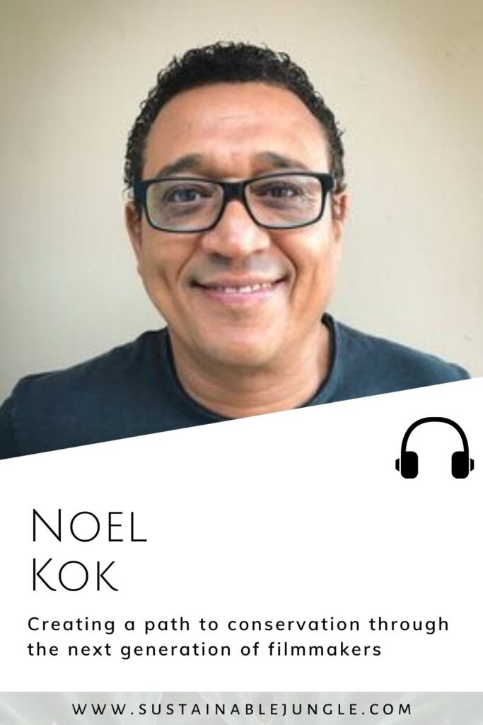 通过诺埃尔·科克在可持续丛林播客#noelkok # newf#可持续丛林中与下一代电影人一起创造一条保护之路bob电竞官网