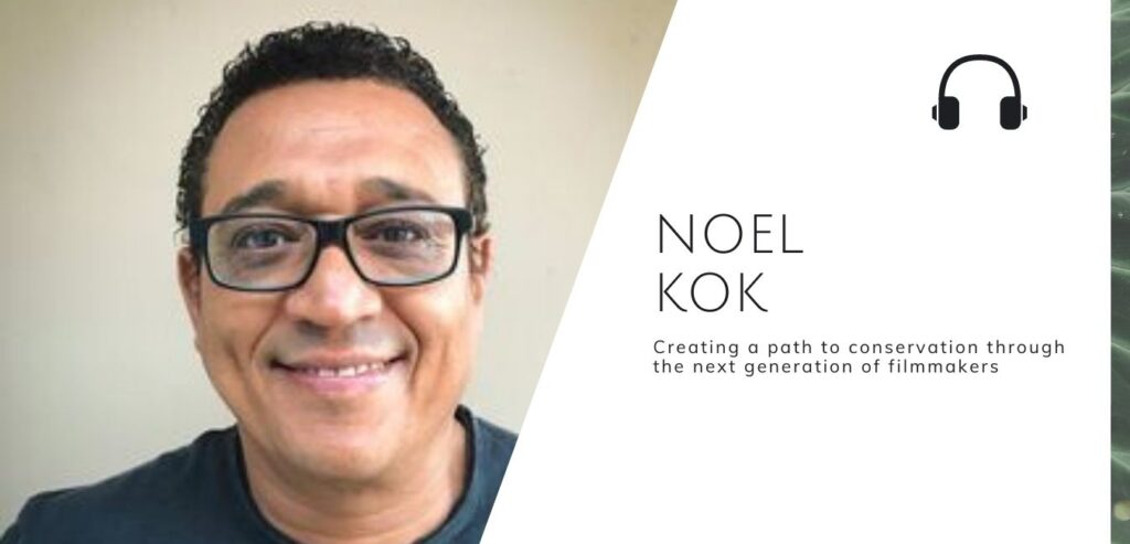 通过诺埃尔·科克在可持续丛林播客#noelkok # newf#可持续丛林中与下一代电影人一起创造一条保护之路bob电竞官网