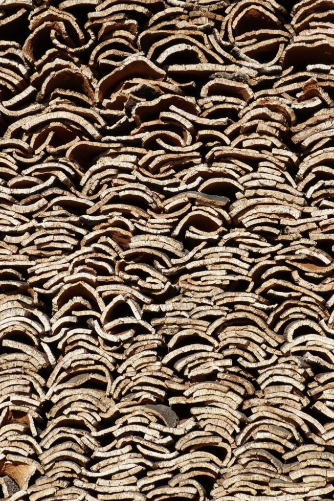 什么是软木织物?现在我们转向树木，一些我们最喜欢的纺织品生产商，来探索软木及其可持续发展的优点。图片来源:Pablò Unsplash #whatiscorkfabric #sustainablejungle
