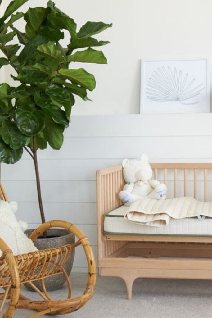 如果你花了大约40周的时间寻找有机婴儿产品，我们希望你不要忘记婴儿床。但如果你有，我们在这里为你提供一些最好的环保婴儿床品牌，帮助宝宝(和你)睡个好觉(或至少一个小时)。图片来源:Avocado Green Brands #生态友好婴儿床#无毒婴儿床#可持续丛林