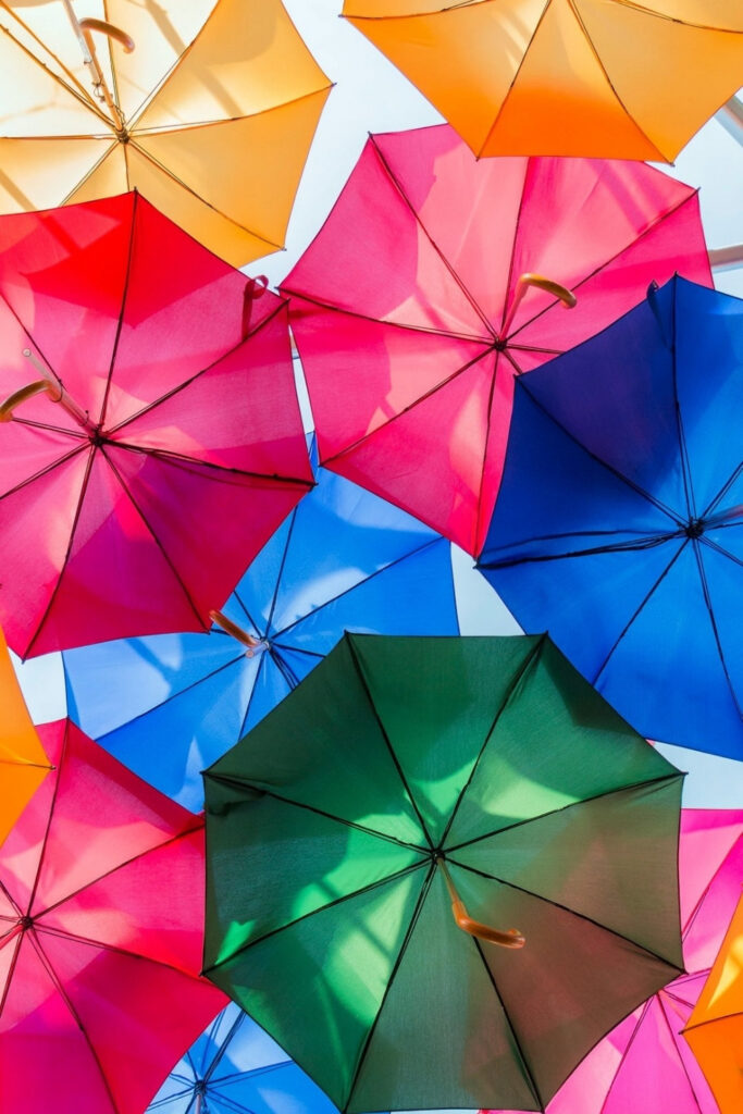 如果你想买一把环保伞，我们可以帮你。字面上。古埃及人制造了历史上第一把伞，图片来源:Jollybrolly #生态友好伞#最佳生态友好伞#最生态友好伞#可持续伞#无塑料伞