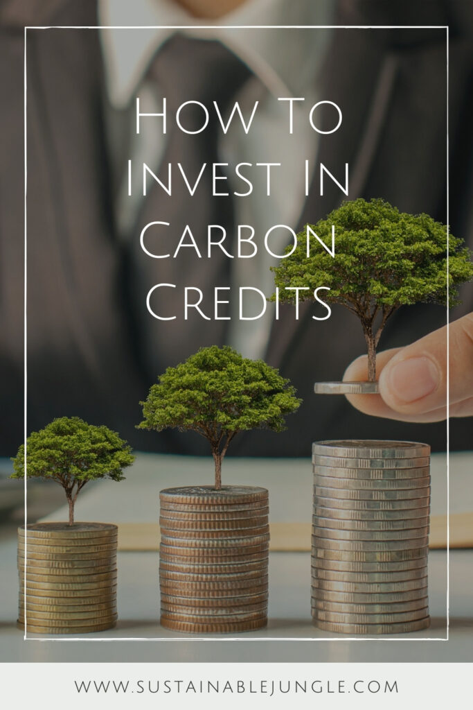 想知道如何投资碳信用额度(或者你是否应该投资)?你有很多同伴。与碳抵消计划一样，碳信用也是一个热门话题。图片来源:Arthon Meekodong via Canva Pro #如何投资碳信用#碳信用#碳交易#可持续丛林