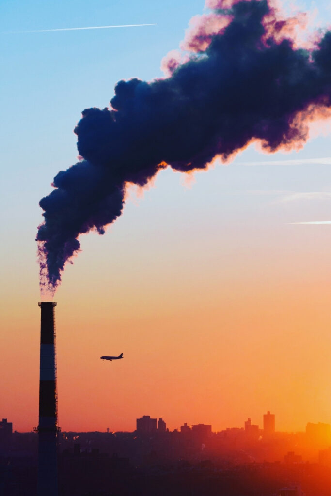 想知道如何投资碳信用额度(或者你是否应该投资)?你有很多同伴。与碳抵消计划一样，碳信用也是一个热门话题。图片来源:Thijs Stoop via Unsplash #如何投资碳信用#碳信用#碳交易#可持续丛林