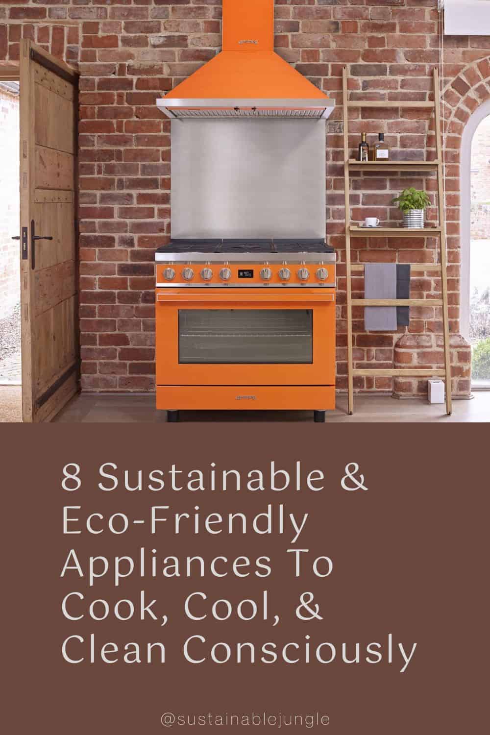 8种可持续的环保电器有意识地烹饪、冷却和清洁#环保电器#环保厨房电器#环保洗衣电器#环保炊具#可持续电器#可持续家用电器#可持续丛林