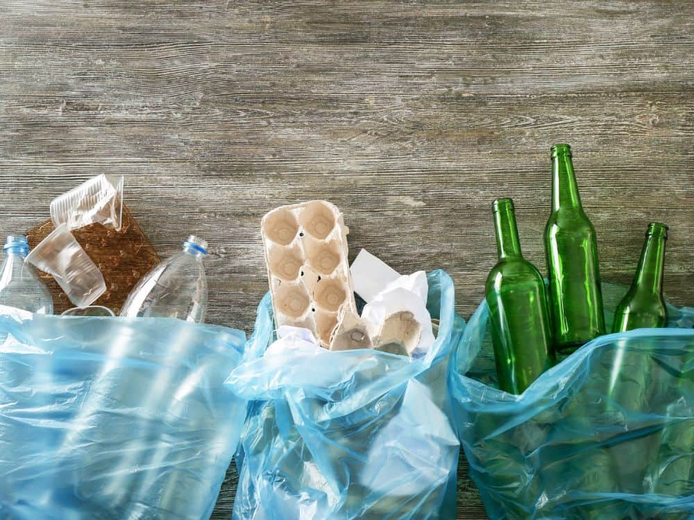 让我们谈谈垃圾:垃圾袋是可回收的吗?图片来源:Canva Pro #可回收垃圾袋#可回收垃圾袋#不可回收塑料垃圾袋#可回收塑料垃圾袋#可持续丛林