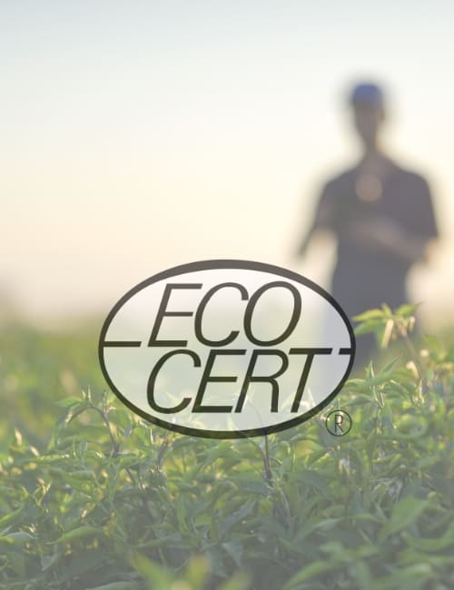 什么是Ecocert认证?它可靠吗?图片来源:baranozdemir #ecocert #ecocertorganic #ecocertcertification #什么是ecocertcertification #ecocertcertification是什么意思# ecocererreliable #可持续丛林