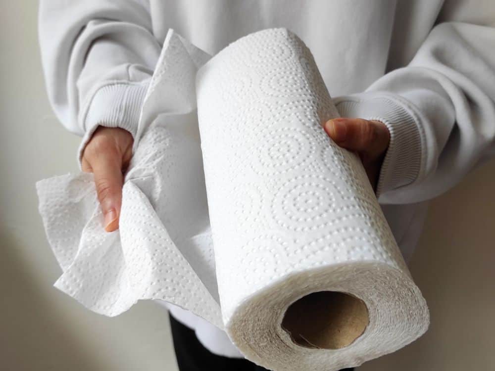 纸巾可以堆肥吗?图片来源:Alican Lazutti #我们可以堆肥纸巾#我们可以堆肥纸巾#我们可以堆肥纸巾#我们可以堆肥纸巾#我们可以堆肥竹子毛巾#我们可以堆肥使用纸巾#可持续的丛林