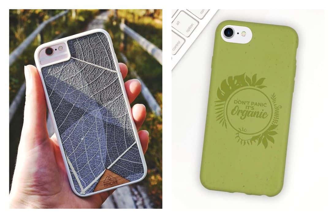 MMORE拍摄的11个可持续环保的有意识呼叫手机壳图片#生态友好的手机案例#可持续的手机案例#生态友好的手机案例#最佳可持续的手机案例#可持续的手机案例品牌#可持续的丛林